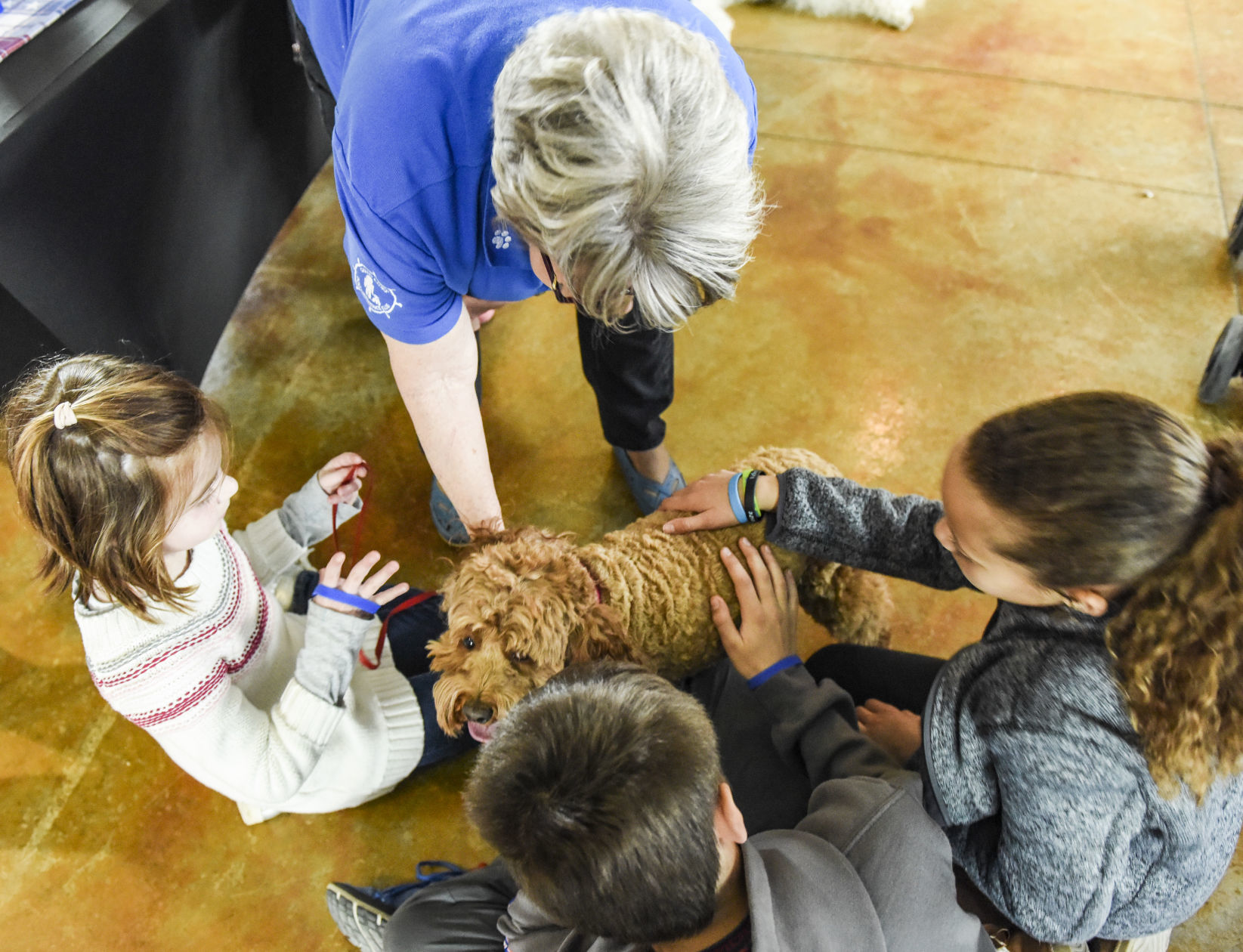 041519-qct-qca-dogs-05.jpg